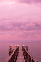Poplar Pier in Pink (No. 4476)