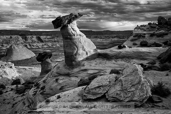 Stud Horse Point (No. 182)