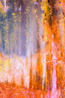 Abstact in Pink, Orange and Blue