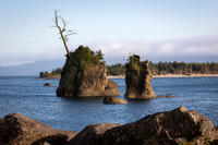 Forested Seastacks, Garibaldi, Oregon