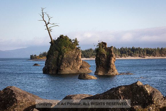 Forested Seastacks, Garibaldi, Oregon
