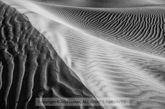 Sand Dune (Detail), Death Valley (No. 266)