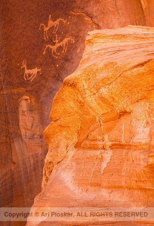 Petroglyphs, Canyon De Chelly (No. 523)