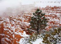 Bryce Canyon National Park