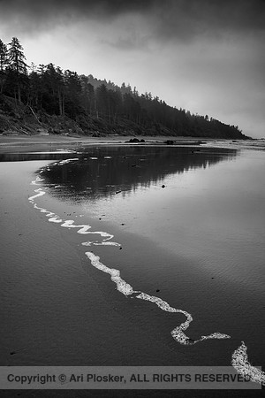 Beach 4 (No. 161)