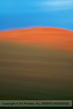 Wheatfield At Dusk