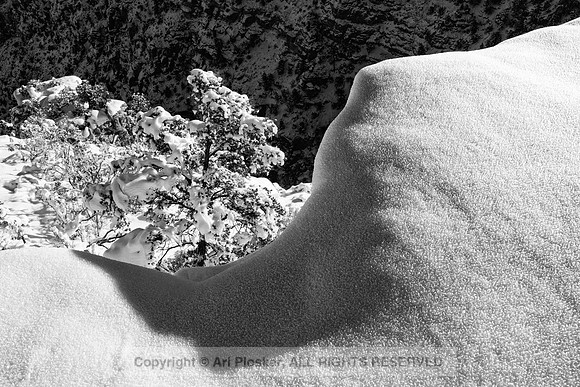 Snow Bank at Navajo Point (no. 3446)