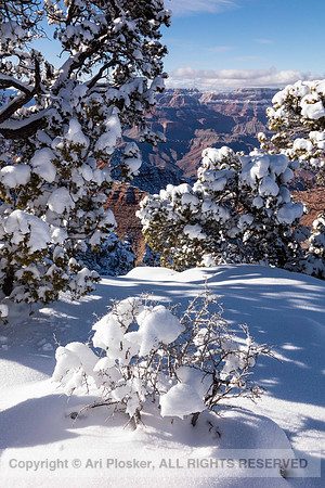 Winter at Desert View (no. 190)