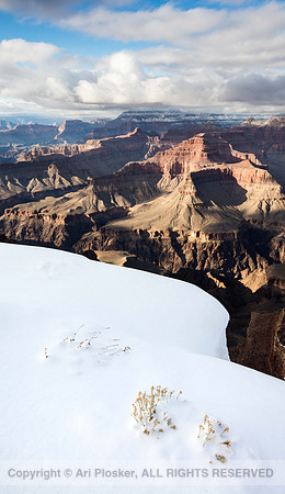 Winter View from Hopi Point (no. 2547)