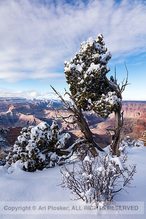 Winter at Desert View (no. 648)