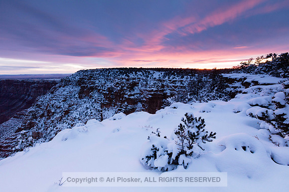 Winter Sunrise from Navajo Point (no. 999)