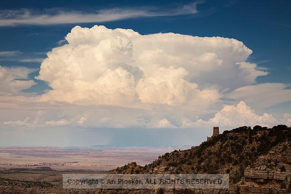 View From Navajo Point (No. 68)