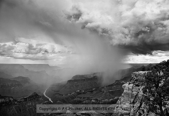 View From Mohave Point (No. 195BW)