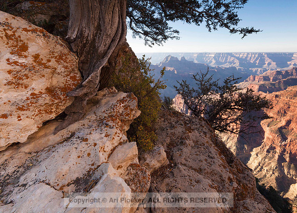 View From The North Rim (No. 407)